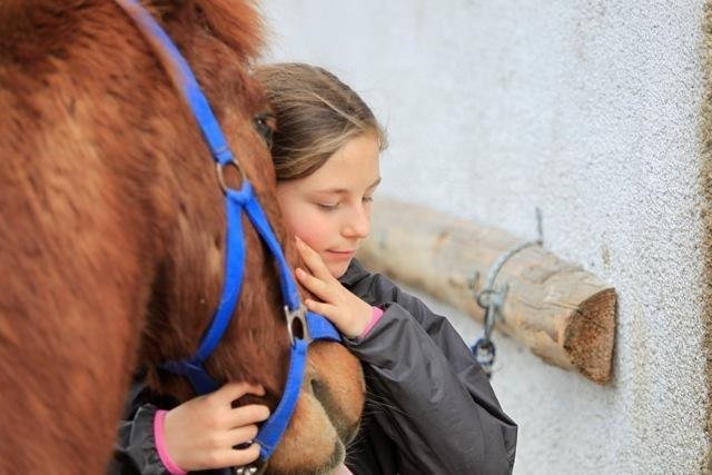 Bild 1, © Alma Drumbl Bild 1, © Alma Drumbl