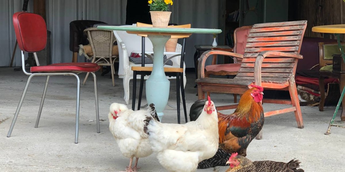 Schönes Hofcafé in Schlehdorf Schönes Hofcafé in Schlehdorf