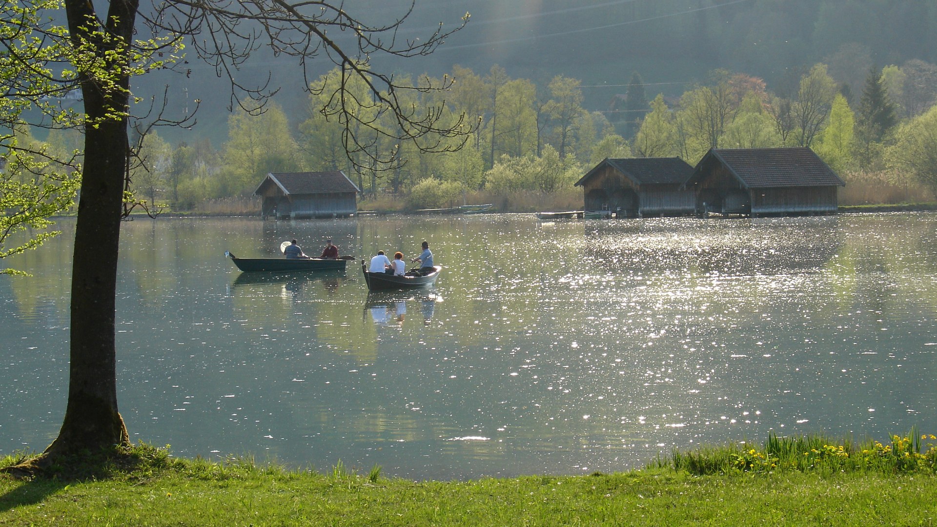 Angeln auf dem Kochelsee Angeln auf dem Kochelsee