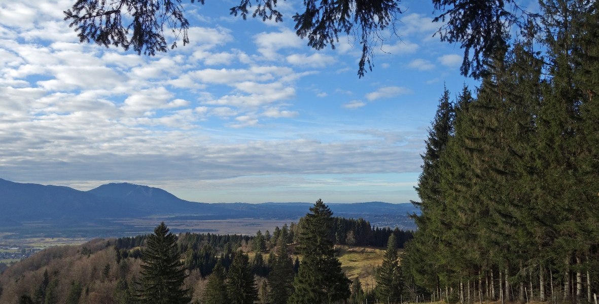 Aussicht Hohentann Richtung Murnauer Moos, © Tölzer Land Tourismus Aussicht Hohentann Richtung Murnauer Moos, © Tölzer Land Tourismus